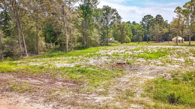 TBD70 Thousand Oaks, Livingston, TX 77351