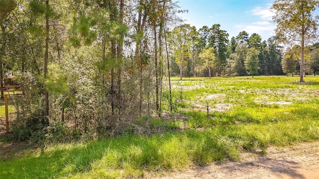 TBD70 Thousand Oaks, Livingston, TX 77351