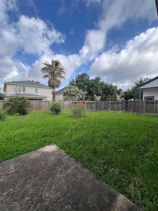 20019 Sterling Meadow Ct, Katy, TX 77449 - view of yard