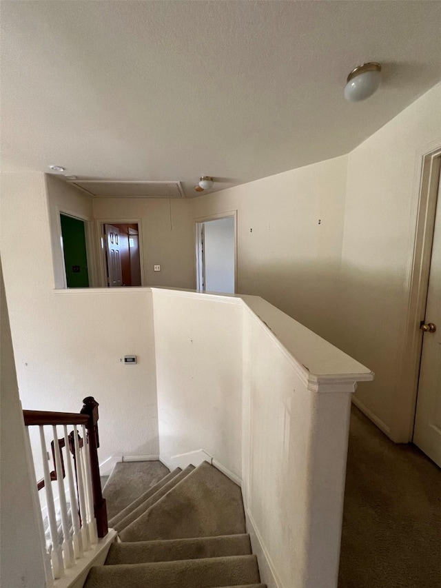 20019 Sterling Meadow Ct, Katy, TX 77449 - staircase featuring attic access, carpet flooring, and a textured ceiling