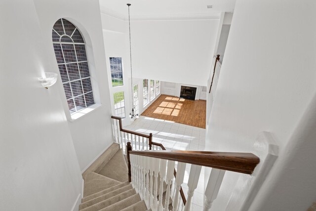 25814 Bridle Fls, Magnolia, TX 77355 - photo 34
