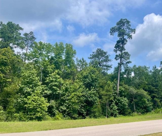 00000 Lonestar Rd, Huntsville, TX 77340