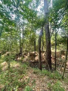 00000 Lonestar Rd, Huntsville, TX 77340