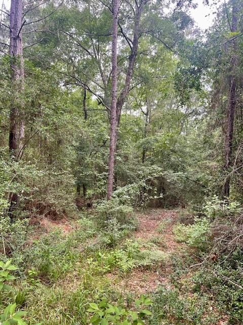 00000 Lonestar Rd, Huntsville, TX 77340