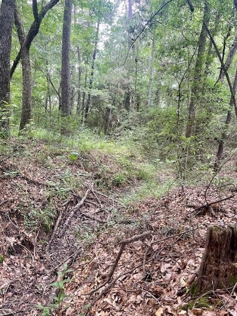 00000 Lonestar Rd, Huntsville, TX 77340