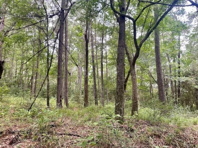 00000 Lonestar Rd, Huntsville, TX 77340