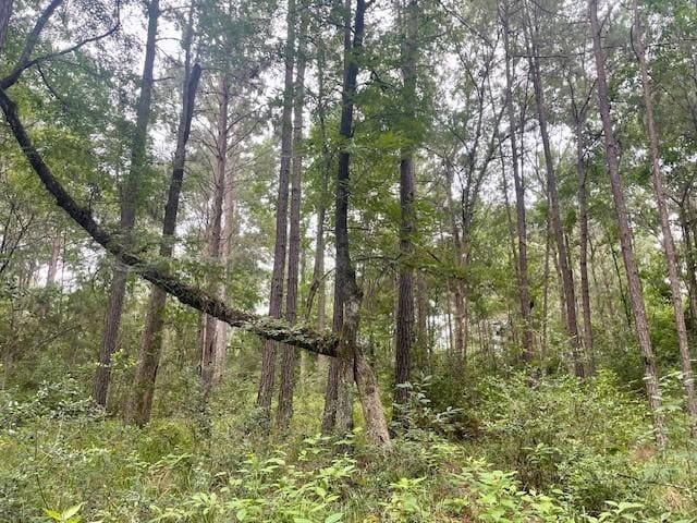 00000 Lonestar Rd, Huntsville, TX 77340
