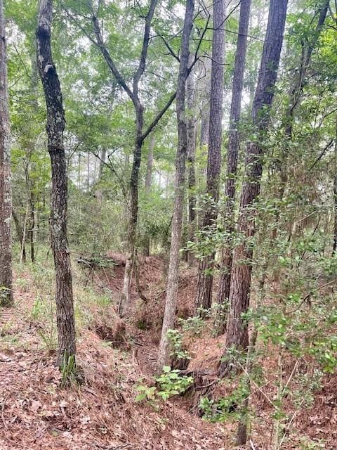 00000 Lonestar Rd, Huntsville, TX 77340