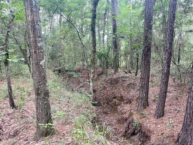 00000 Lonestar Rd, Huntsville, TX 77340