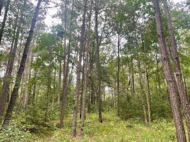 00000 Lonestar Rd, Huntsville, TX 77340