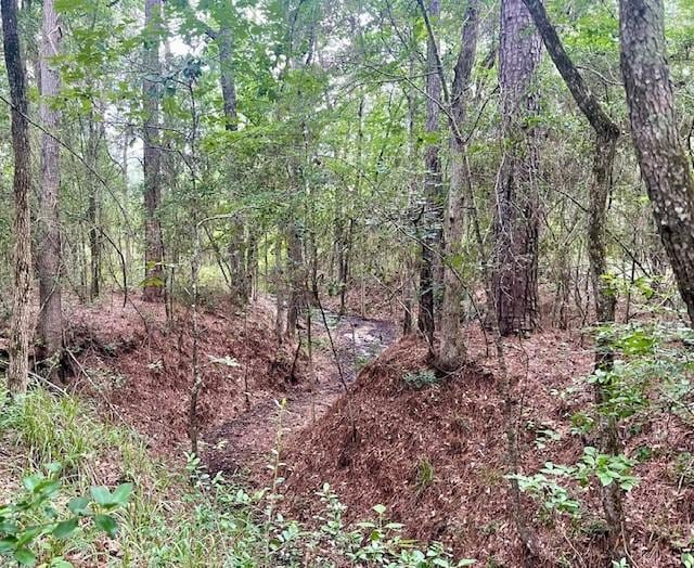 00000 Lonestar Rd, Huntsville, TX 77340