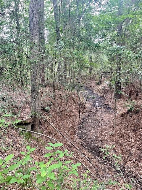 00000 Lonestar Rd, Huntsville, TX 77340