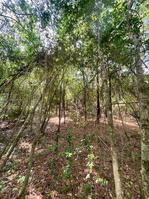 00000 Lonestar Rd, Huntsville, TX 77340