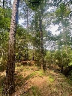 00000 Lonestar Rd, Huntsville, TX 77340