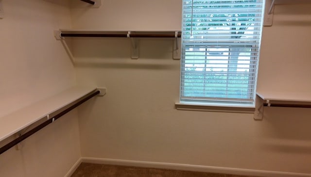 22403 Stonebridge Crossing Ln, Tomball, TX 77375 - photo 10