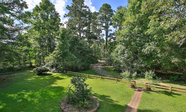 26095 Country Pines Ct, Magnolia, TX 77355 - photo 28
