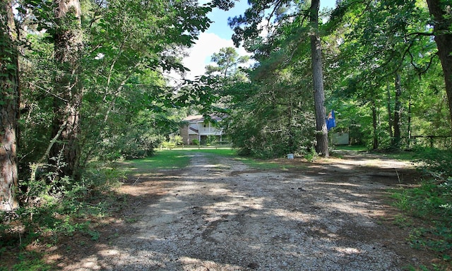 26095 Country Pines Ct, Magnolia, TX 77355 - photo 2