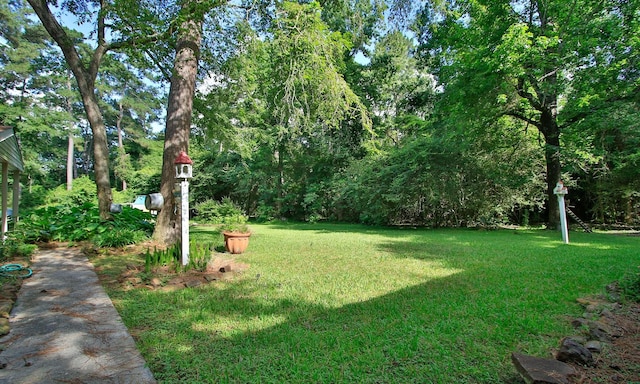 26095 Country Pines Ct, Magnolia, TX 77355 - photo 33