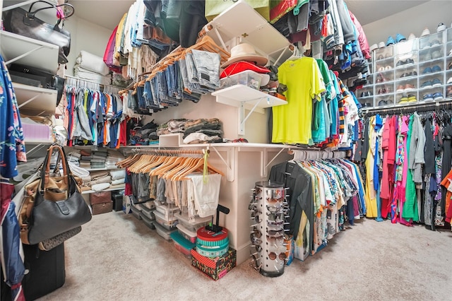 13526 Wedgewood Thicket Way, Cypress, TX 77429 - walk in closet with carpet floors