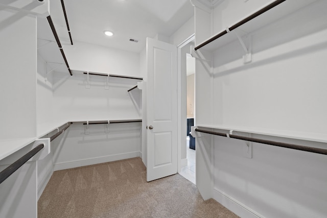 916 Wormwood Dr, League City, TX 77573 - spacious closet with light colored carpet