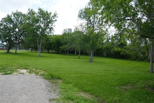 2719 County Road 510, Brazoria, TX 77422 - photo 23