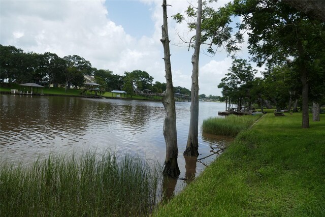 2719 County Road 510, Brazoria, TX 77422 - photo 3