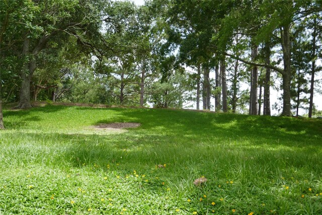 2719 County Road 510, Brazoria, TX 77422 - photo 9