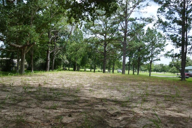 2719 County Road 510, Brazoria, TX 77422 - photo 11