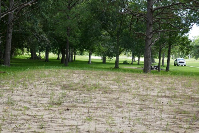 2719 County Road 510, Brazoria, TX 77422 - photo 12