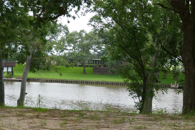 2719 County Road 510, Brazoria, TX 77422 - photo 8