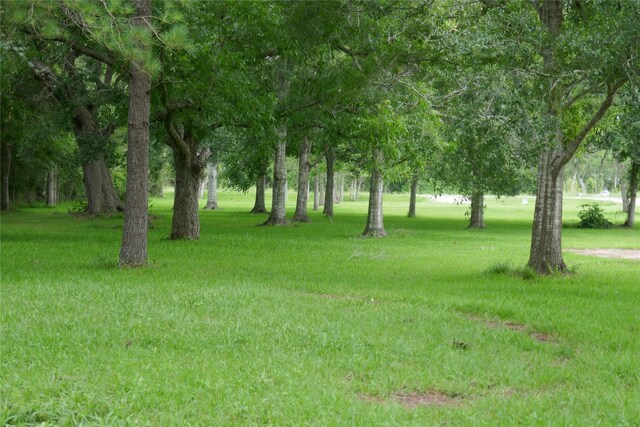 2719 County Road 510, Brazoria, TX 77422 - photo 15