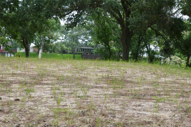 2719 County Road 510, Brazoria, TX 77422 - photo 14