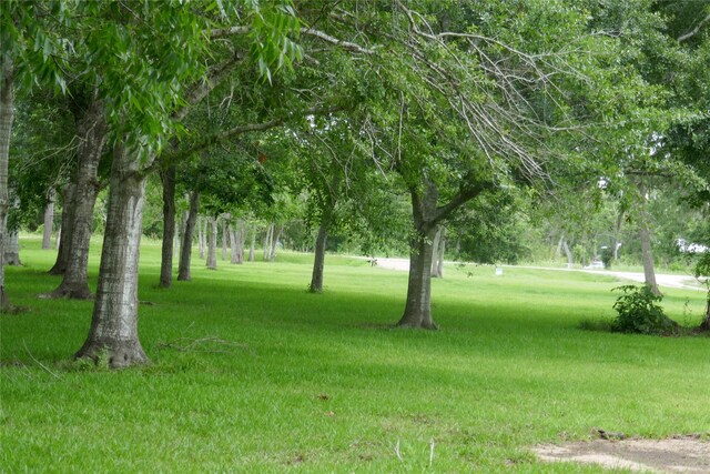 2719 County Road 510, Brazoria, TX 77422 - photo 16