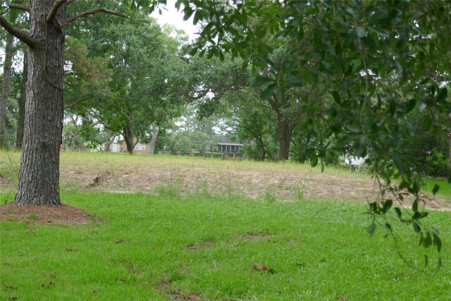 2719 County Road 510, Brazoria, TX 77422 - photo 17