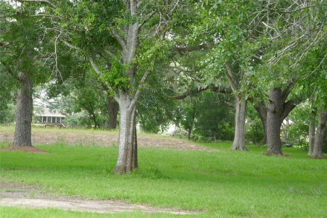 2719 County Road 510, Brazoria, TX 77422 - photo 18