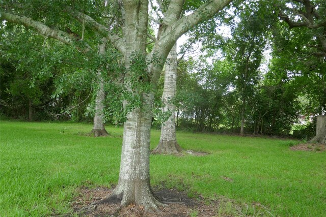 2719 County Road 510, Brazoria, TX 77422 - photo 19