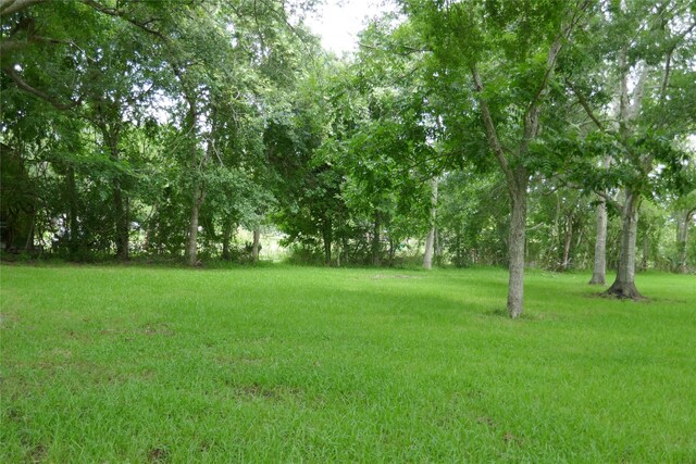 2719 County Road 510, Brazoria, TX 77422 - photo 20