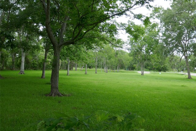 2719 County Road 510, Brazoria, TX 77422 - photo 21