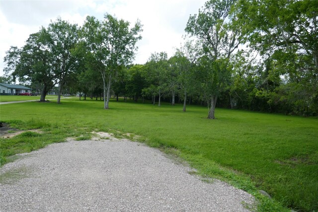 2719 County Road 510, Brazoria, TX 77422 - photo 22