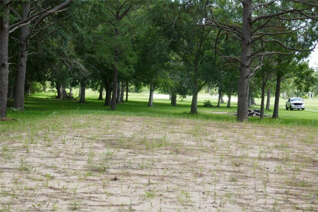 2719 County Road 510, Brazoria, TX 77422 - photo 13