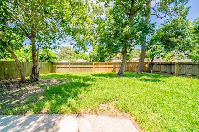 23430 Cimber Ln, Spring, TX 77373 - photo 26