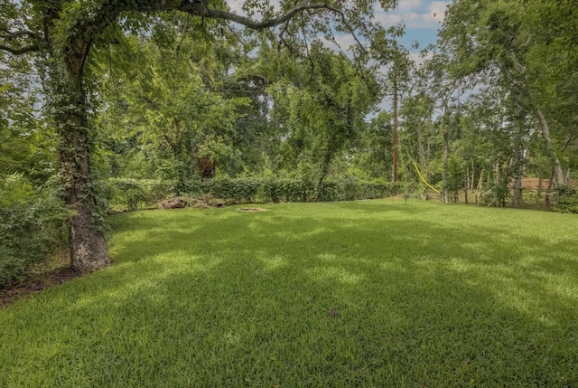 211 Magnolia St, Lake Jackson, TX 77566 - view of green lawn with a view of trees