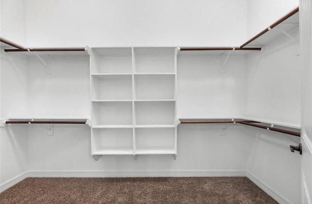 427 Rd 66111, Dayton, TX 77535 - walk in closet featuring carpet floors