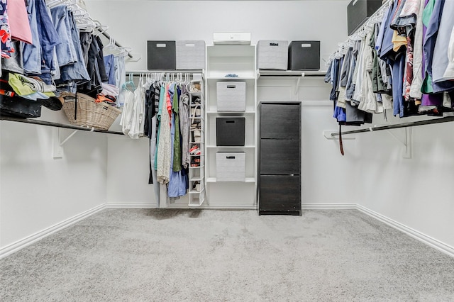 28638 Monarch Cliffs Dr, Fulshear, TX 77441 - walk in closet with carpet