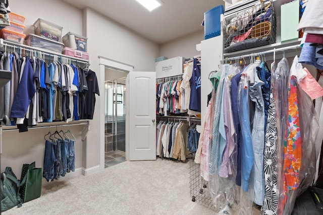 103 Jacks Corner Dr, Montgomery, TX 77316 - spacious closet with carpet