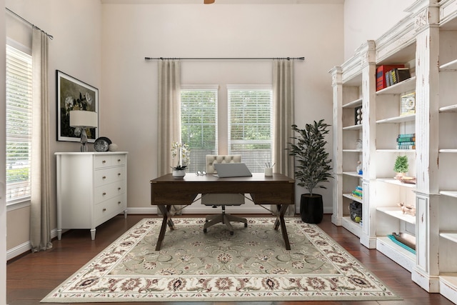 103 Jacks Corner Dr, Montgomery, TX 77316 - office featuring dark wood-style flooring and plenty of natural light