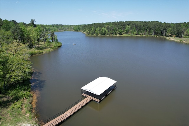 TRACT159 Private Road 1311, Centerville, TX 75833 - photo 3