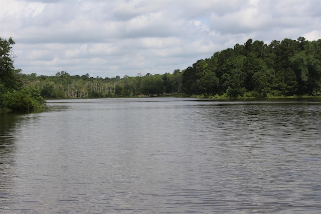 TRACT159 Private Road 1311, Centerville, TX 75833 - photo 12
