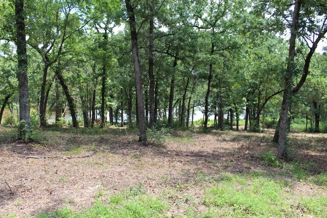 TRACT159 Private Road 1311, Centerville, TX 75833 - photo 13