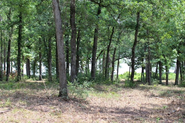 TRACT159 Private Road 1311, Centerville, TX 75833 - photo 14